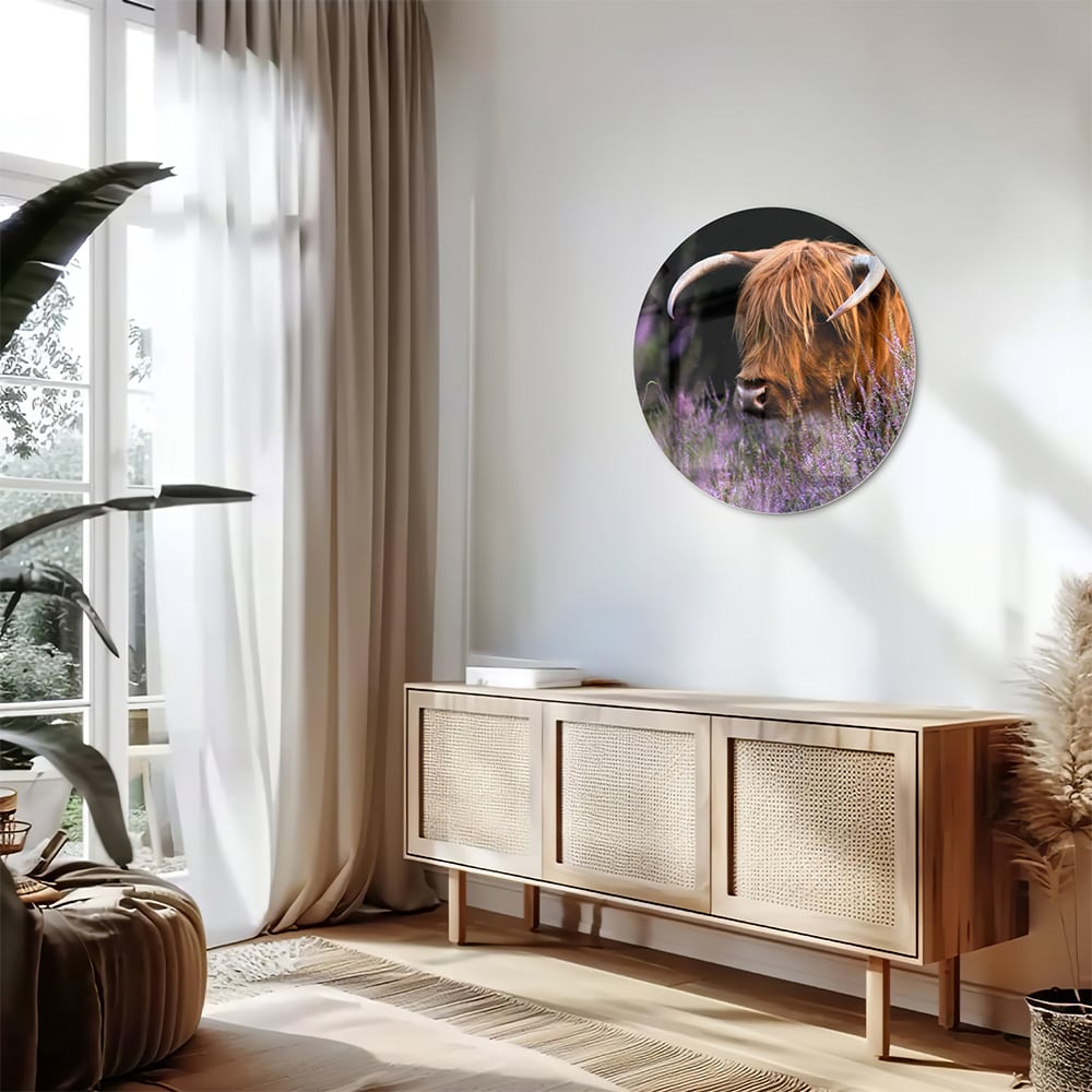 Glazen schilderij van een Schotse Hooglander met lavendel op de achtergrond.