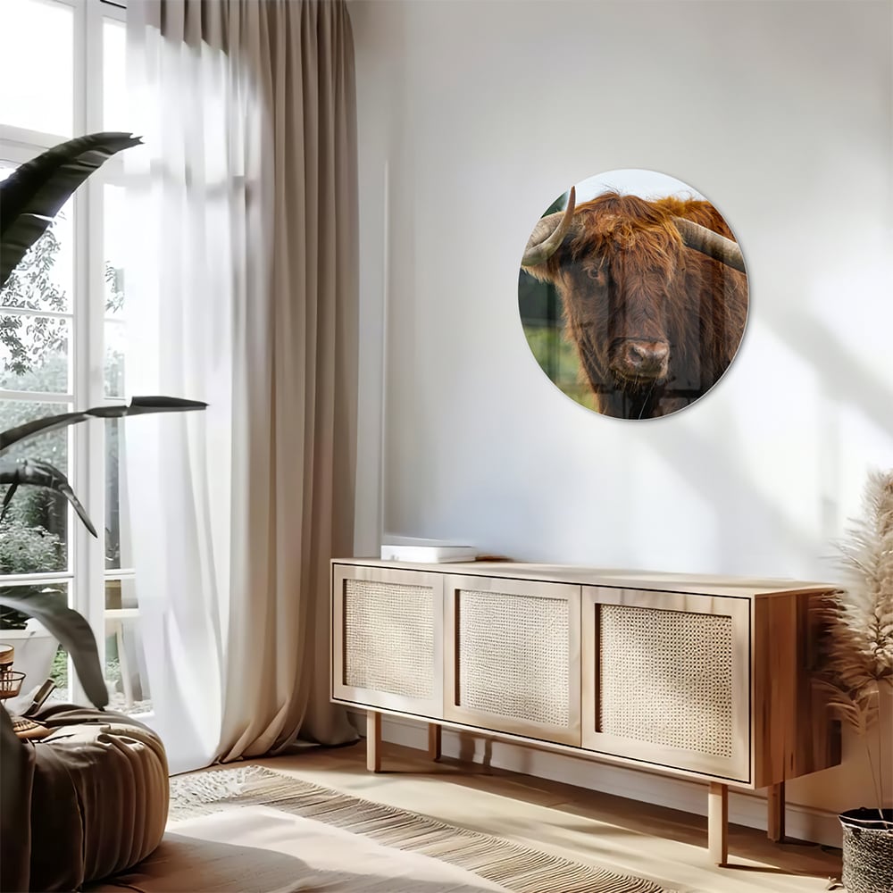 Glas schilderij van een Schotse Hooglander in een moderne woonkamer
