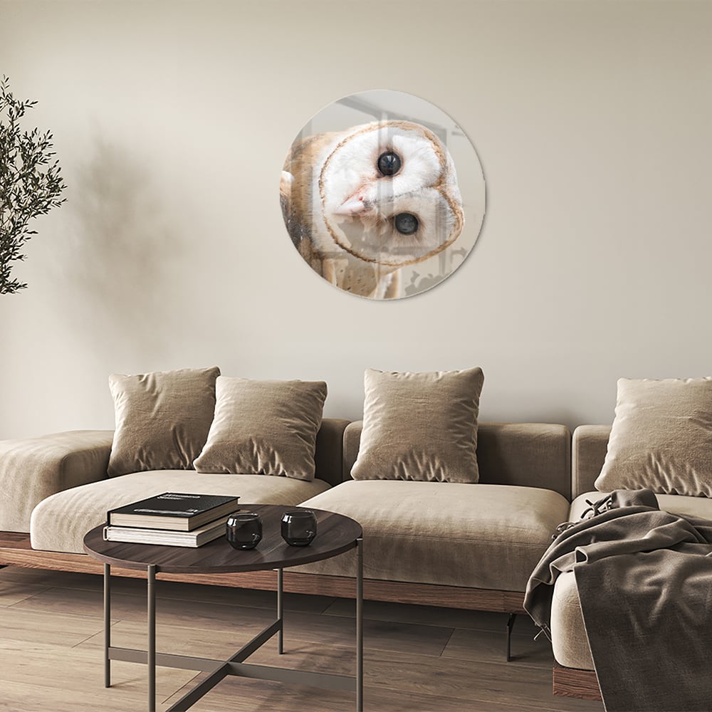 Glazen schilderij van een nieuwsgierige uil aan de muur in een moderne interieursetting.