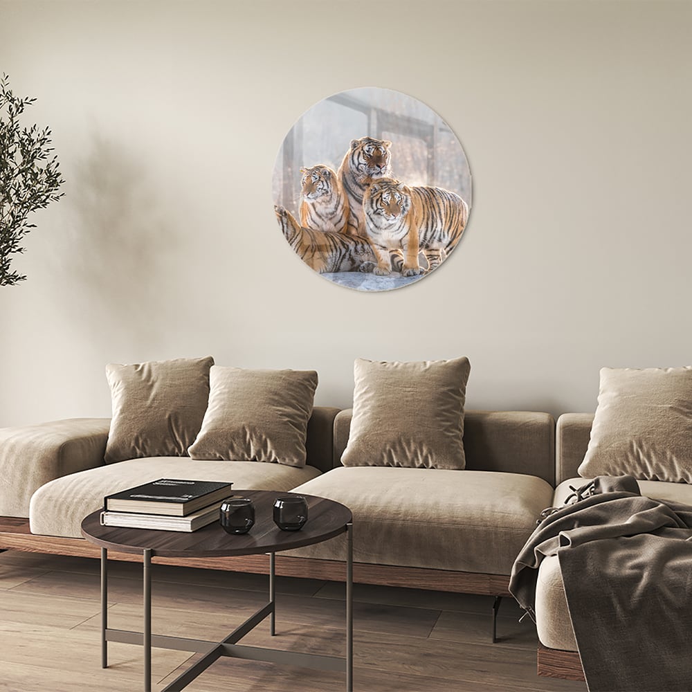 Glazen schilderij met drie tijgers in een moderne woonkamer.