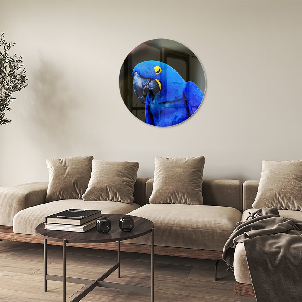 Glazen schilderij van een blauwe ara, ideaal voor wanddecoratie.