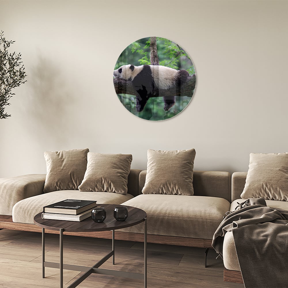 Glazen schilderij van een panda die ontspannen op een tak ligt.