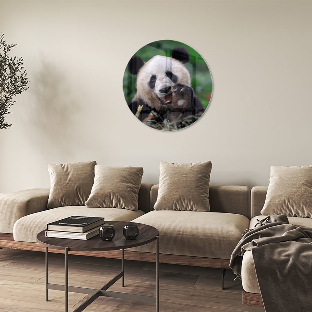 Glazen schilderij met een panda in een groene omgeving, perfect voor mooie interieurdecoratie.