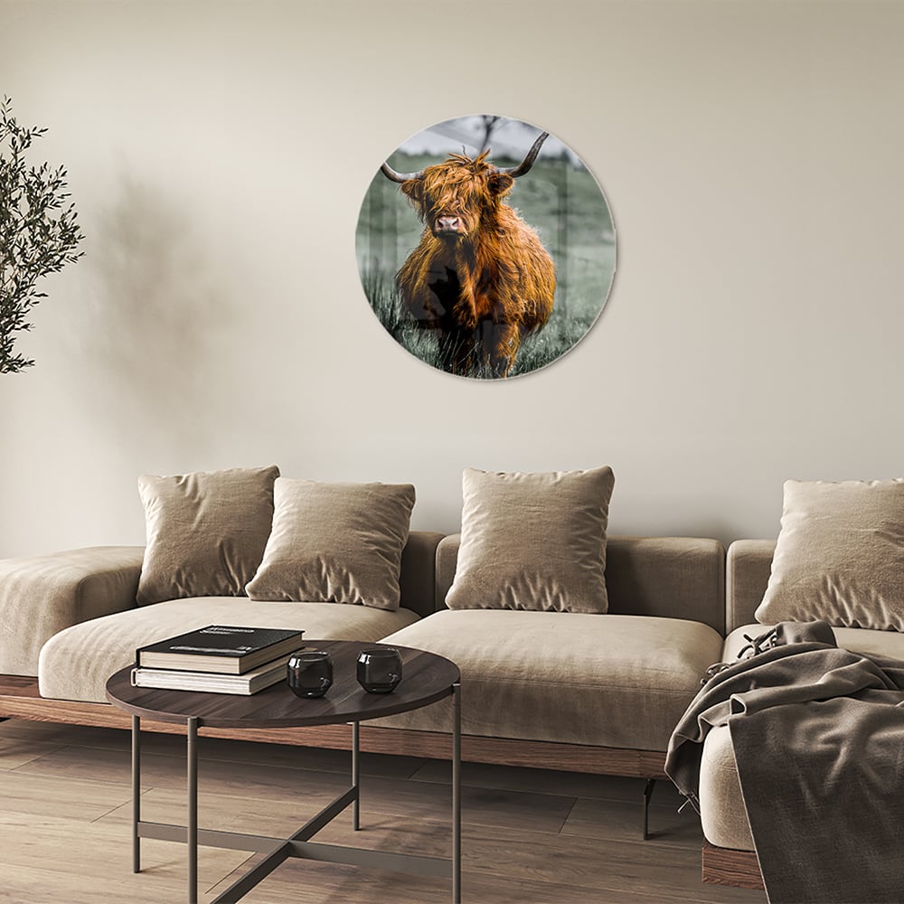 Schots Hooglander schilderij op glas in een groene omgeving.