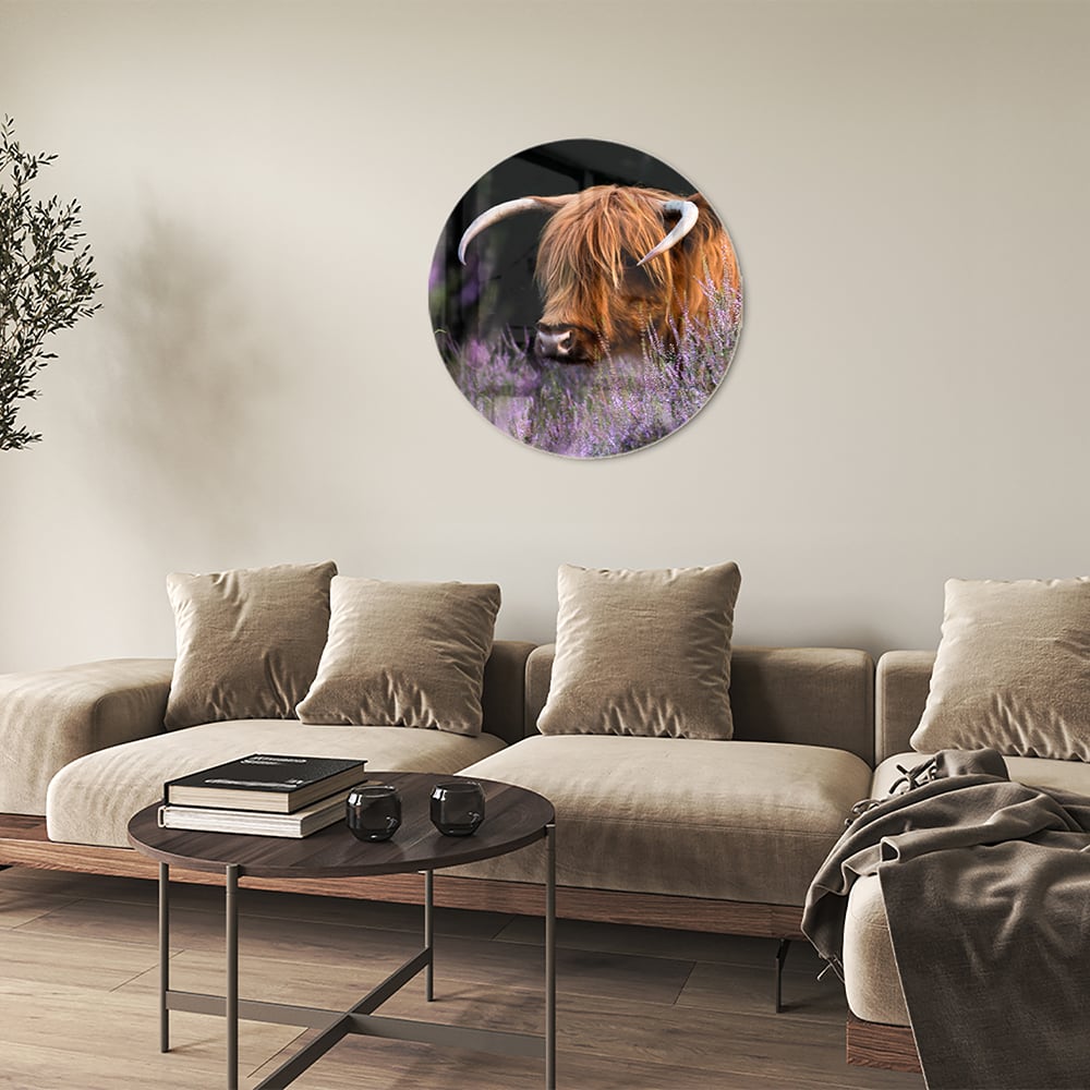 Glazen schilderij van een Schotse Hooglander met lavendel op de achtergrond.