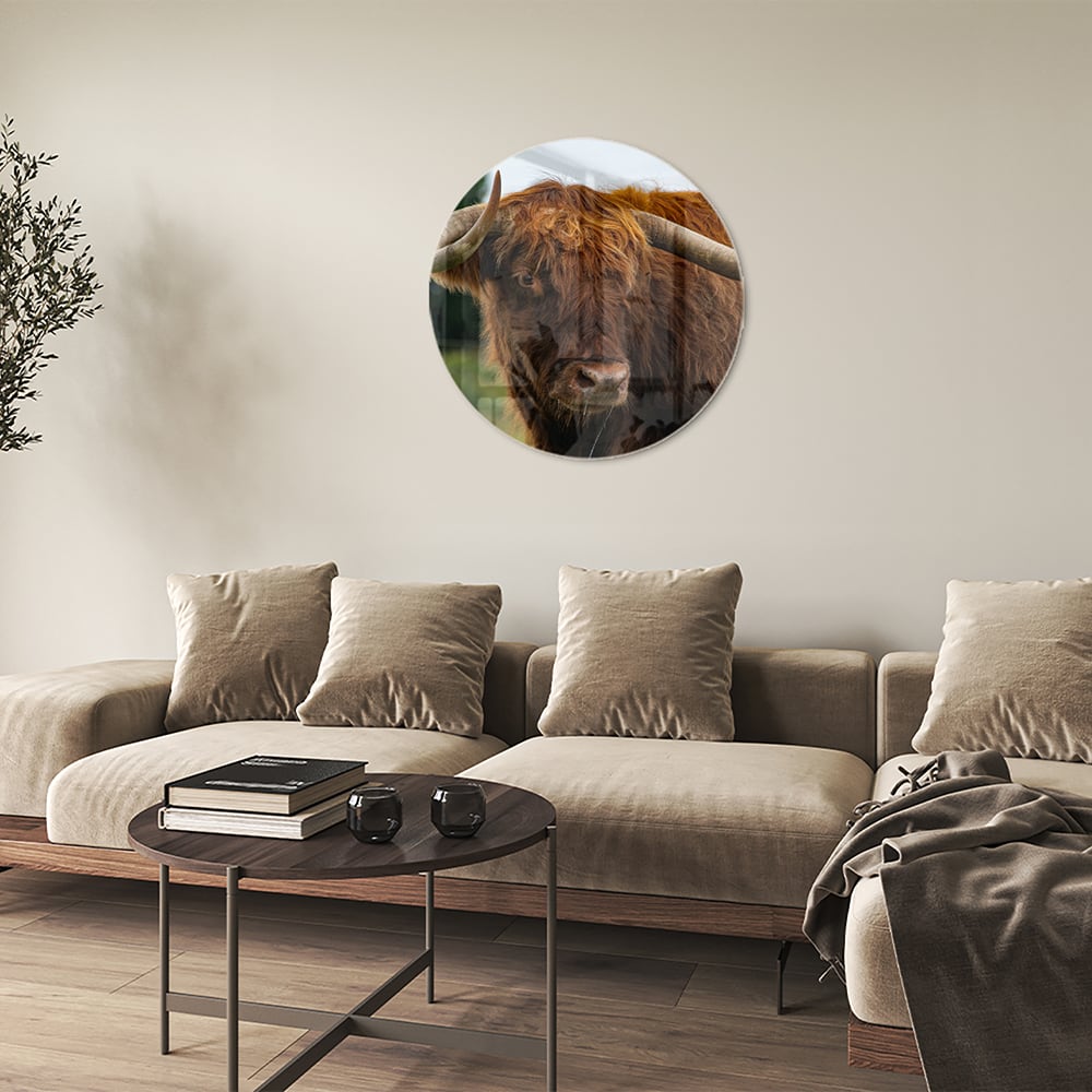 Glas schilderij van een Schotse Hooglander in een moderne woonkamer