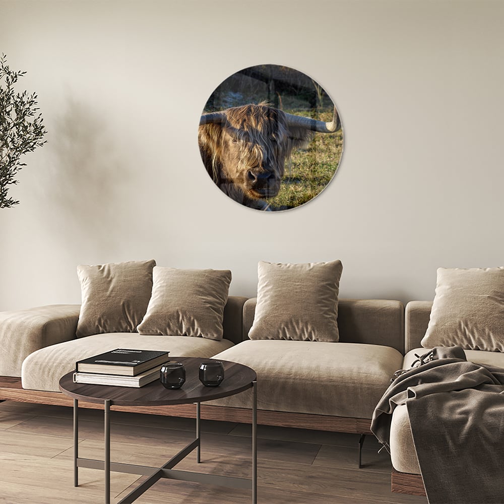 Glazen schilderij van een Highlander rund in een groene omgeving