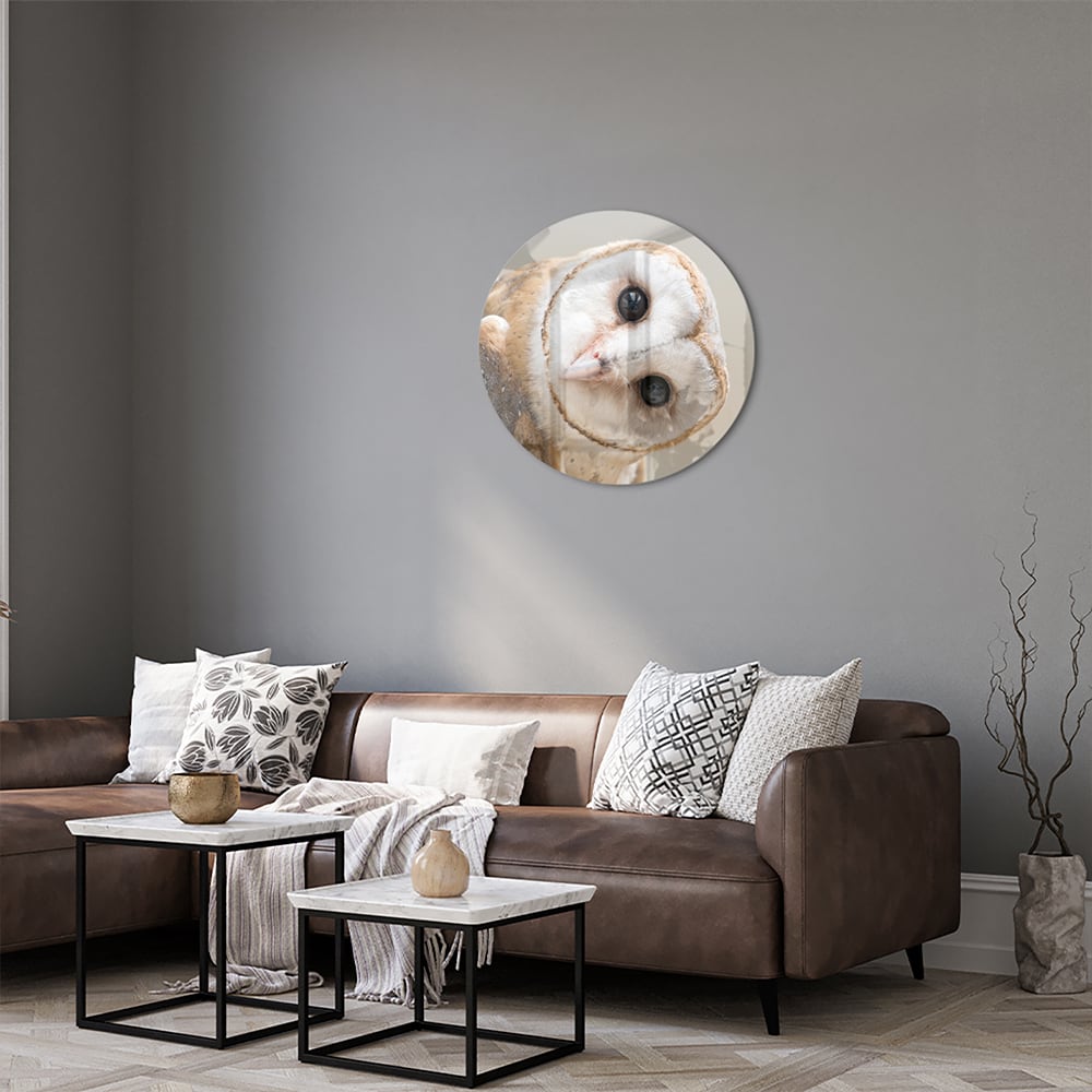 Glazen schilderij van een nieuwsgierige uil aan de muur in een moderne interieursetting.