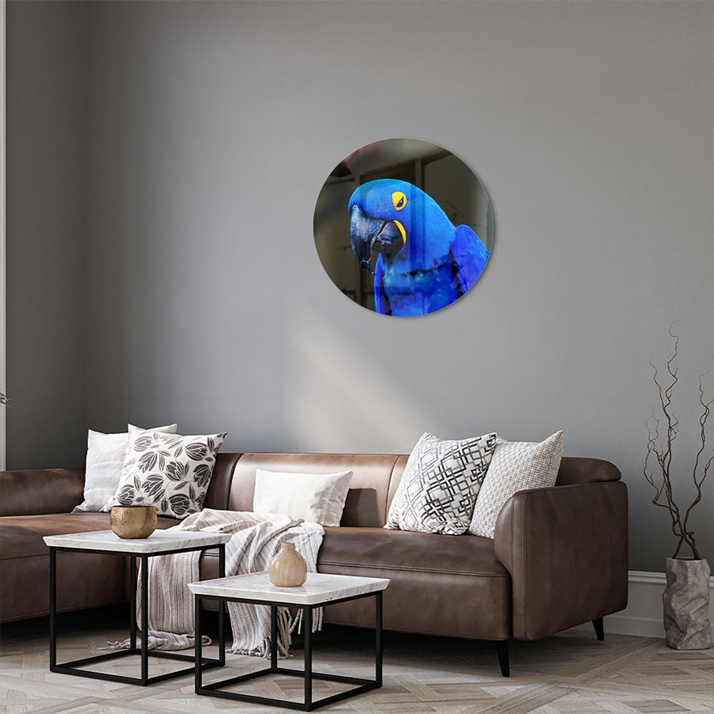 Glazen schilderij van een blauwe ara, ideaal voor wanddecoratie.