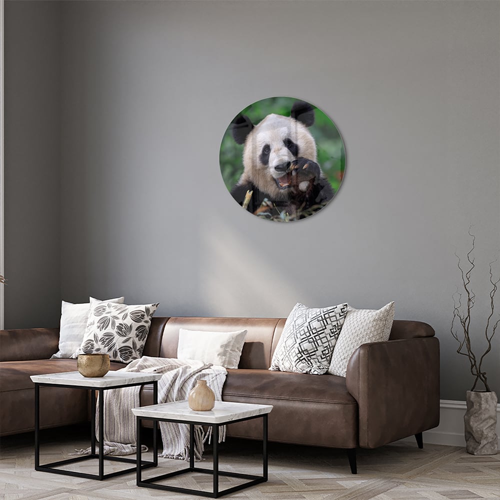 Glazen schilderij met een panda in een groene omgeving, perfect voor mooie interieurdecoratie.