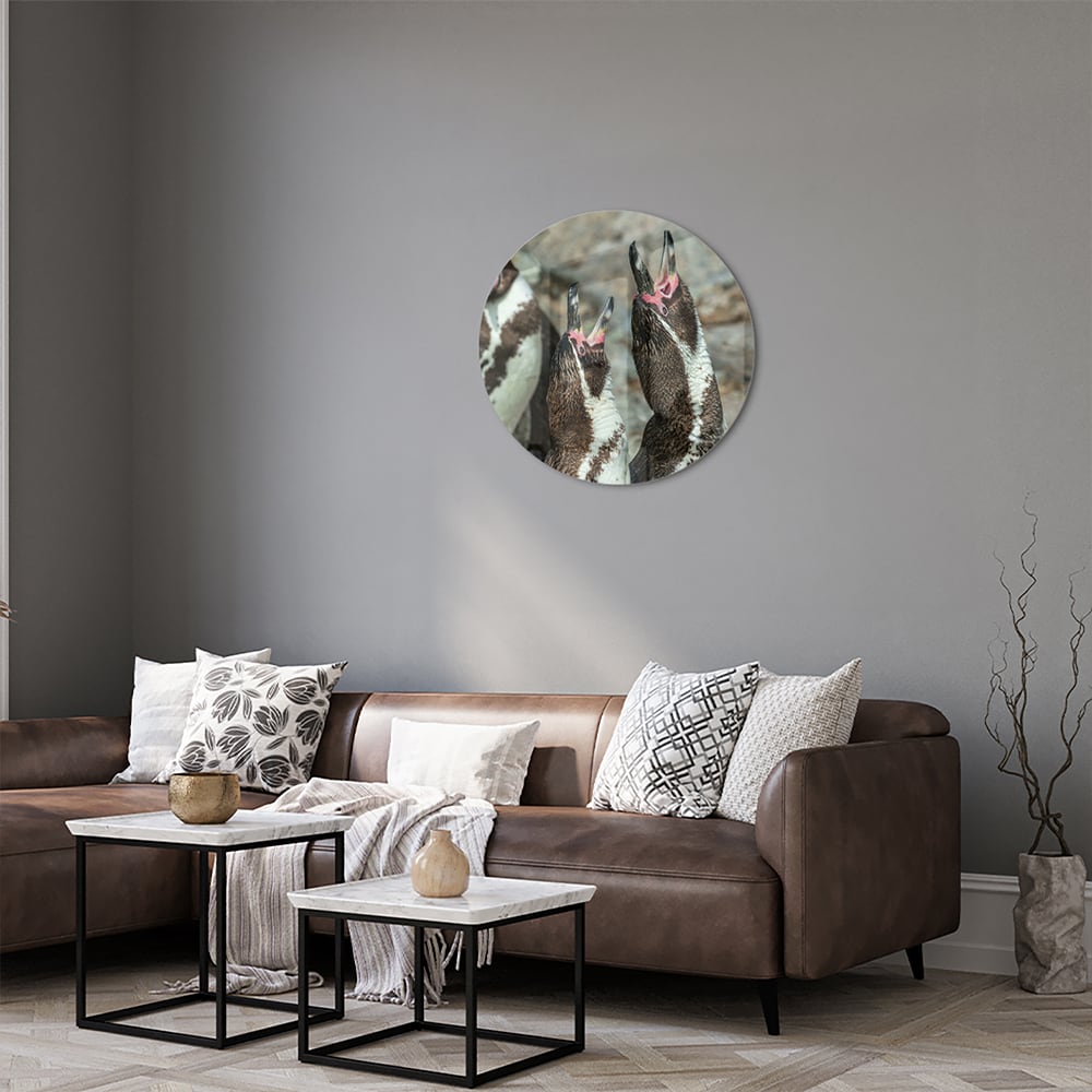 Glas schilderij met vrolijke pinguns op een muur in een modern interieur.
