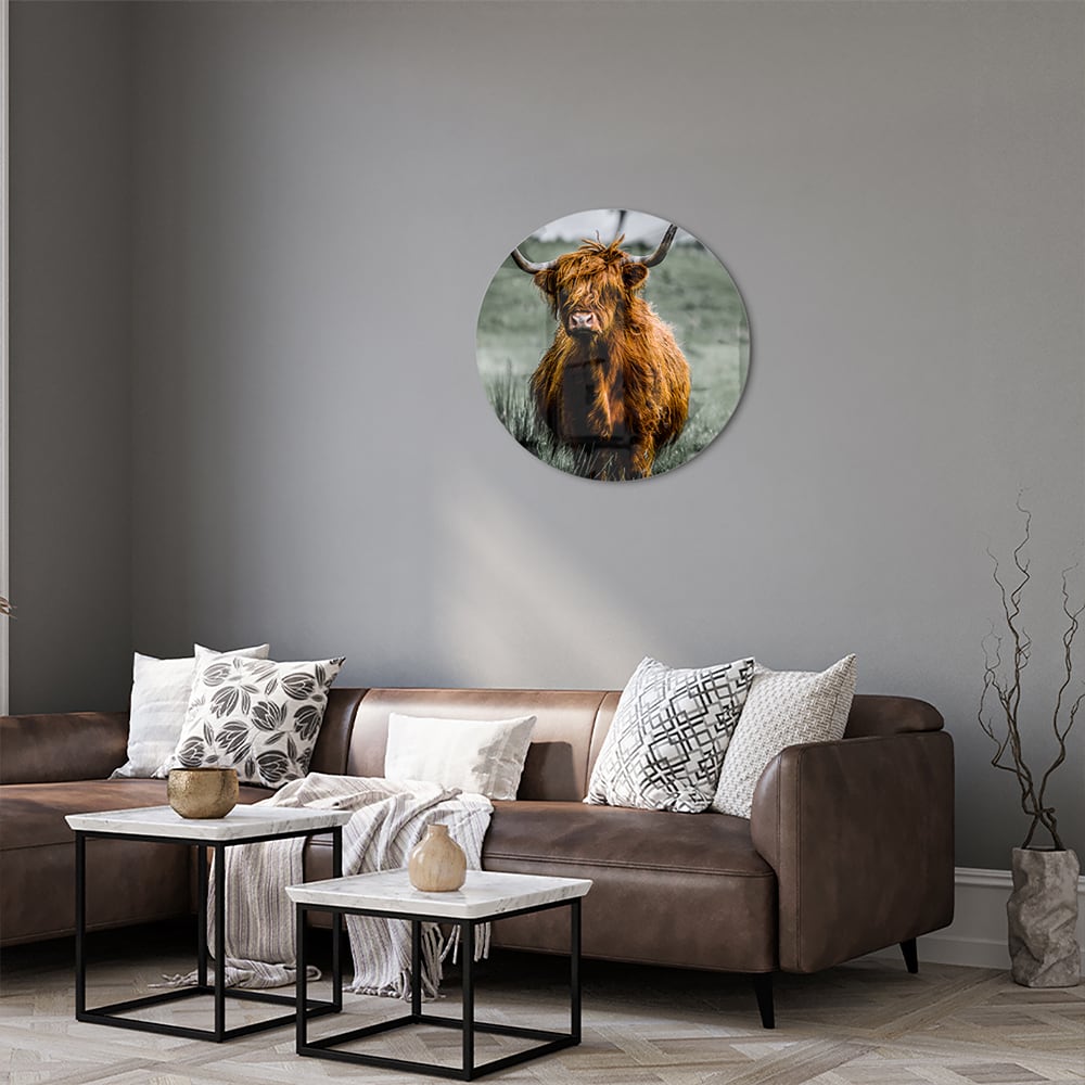 Schots Hooglander schilderij op glas in een groene omgeving.